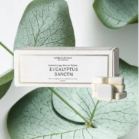NOBLE STEAM - Eucalyptus Sanctum
